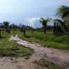 Brasilien 52 Ha Bauernhof bei Manaus - A